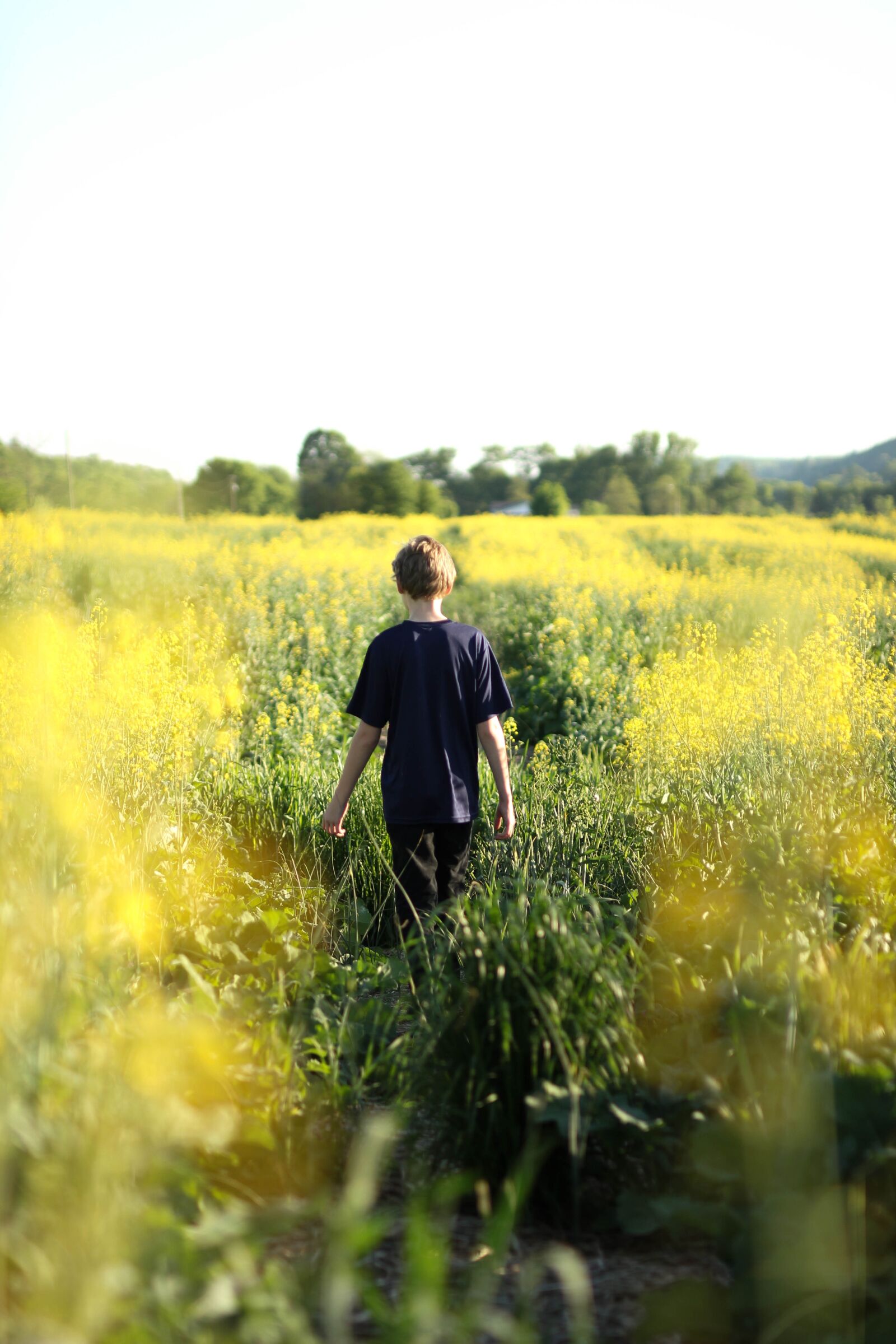 Canon EF 35mm F1.4L USM sample photo. Boy, countryside, field photography