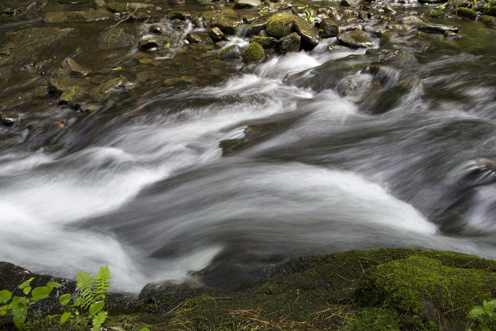 Canon EOS 6D sample photo. Fast river, creek water photography