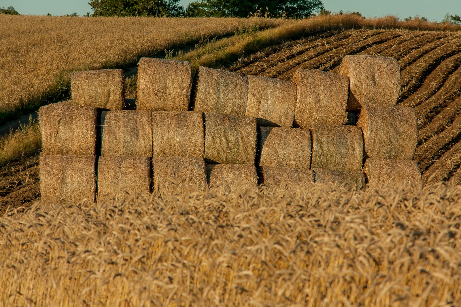 Canon EOS 40D sample photo. Landscape, yields, sky photography
