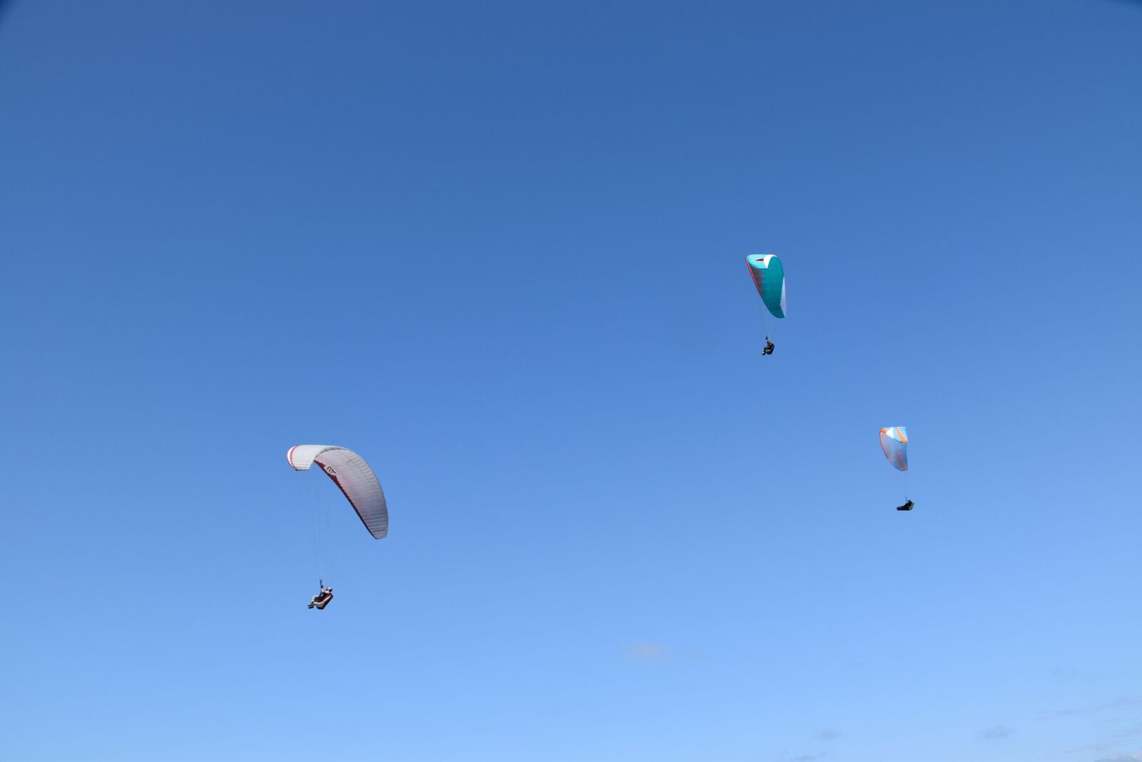 Nikon D5600 sample photo. Paragliders, fly free, fly photography