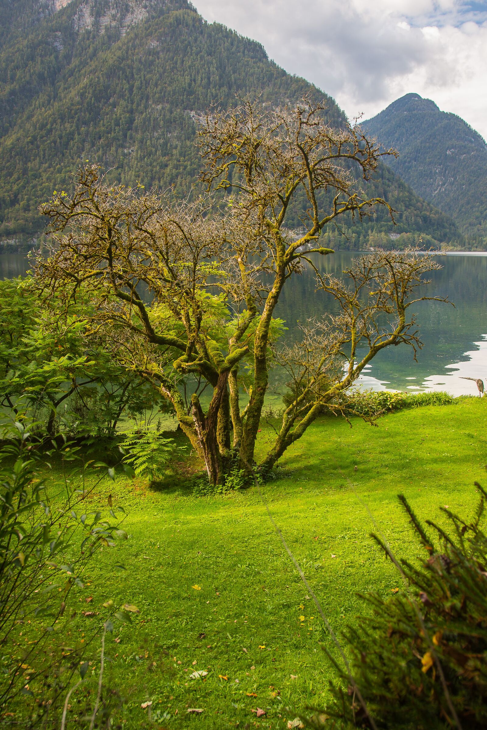 Canon EF 24-105mm F4L IS USM sample photo. Lake, bank, waters photography