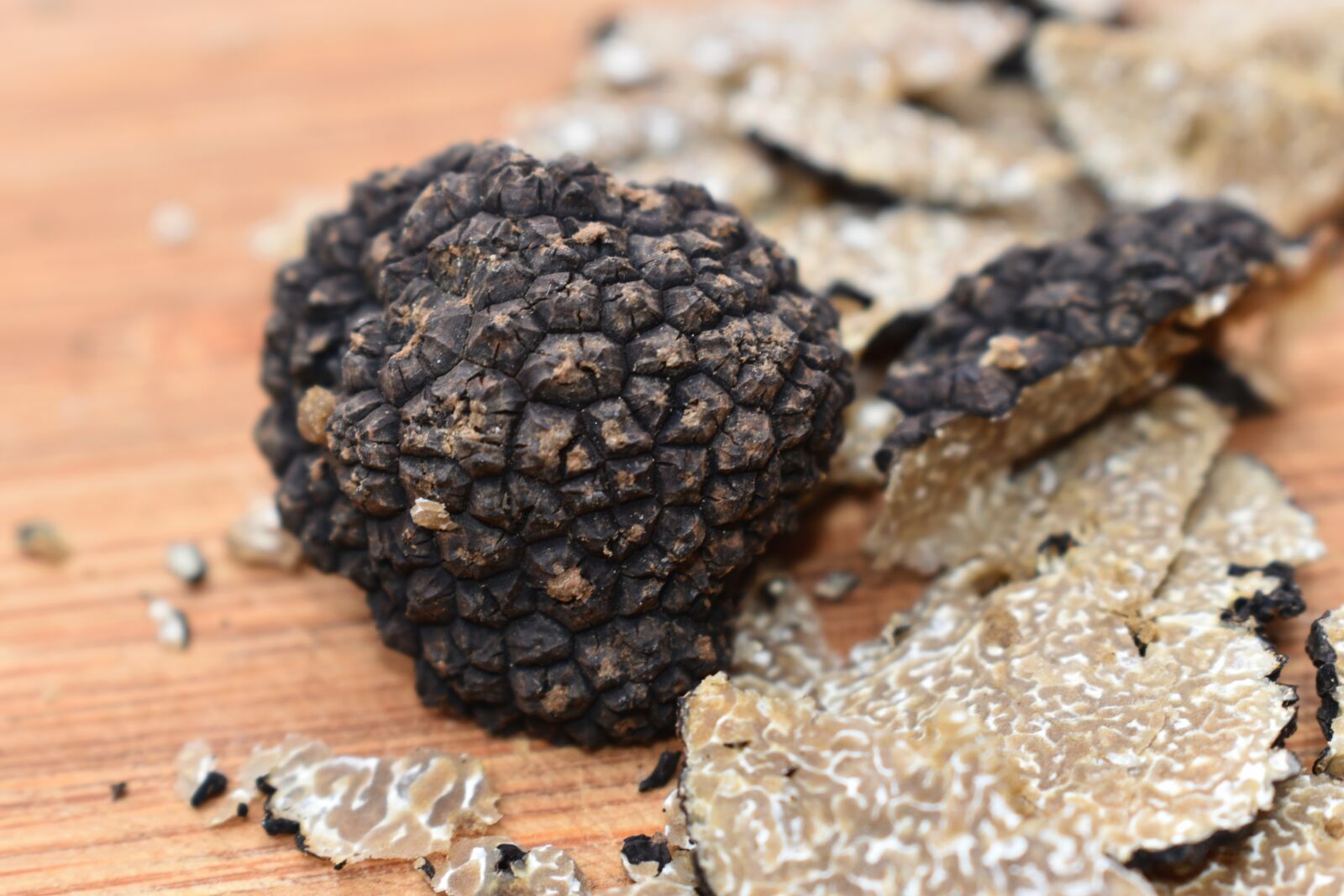 Nikon D5600 sample photo. Truffle, summer, mushrooms photography