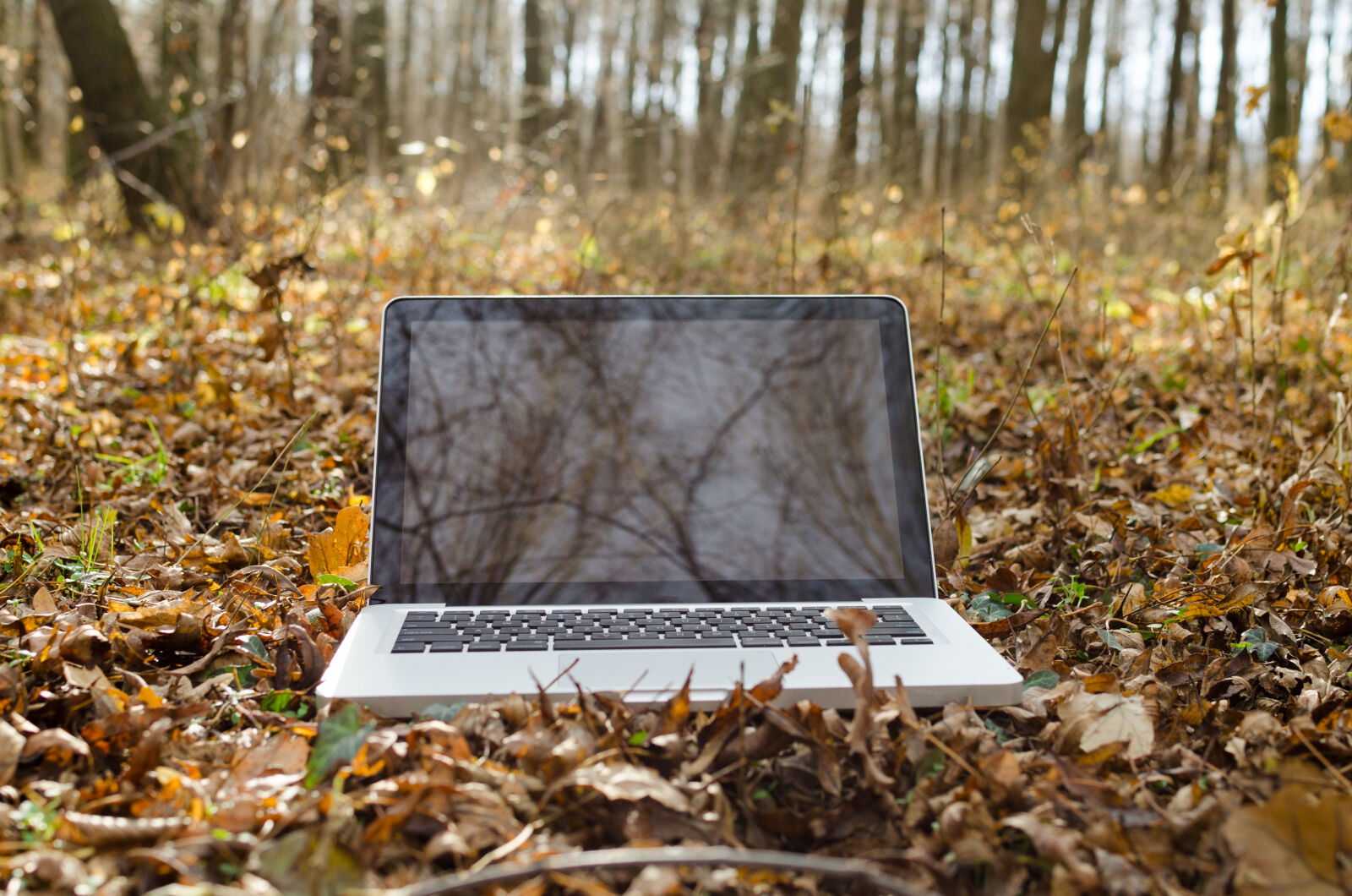 Nikon D5100 sample photo. Autumn, business, communication, computer photography