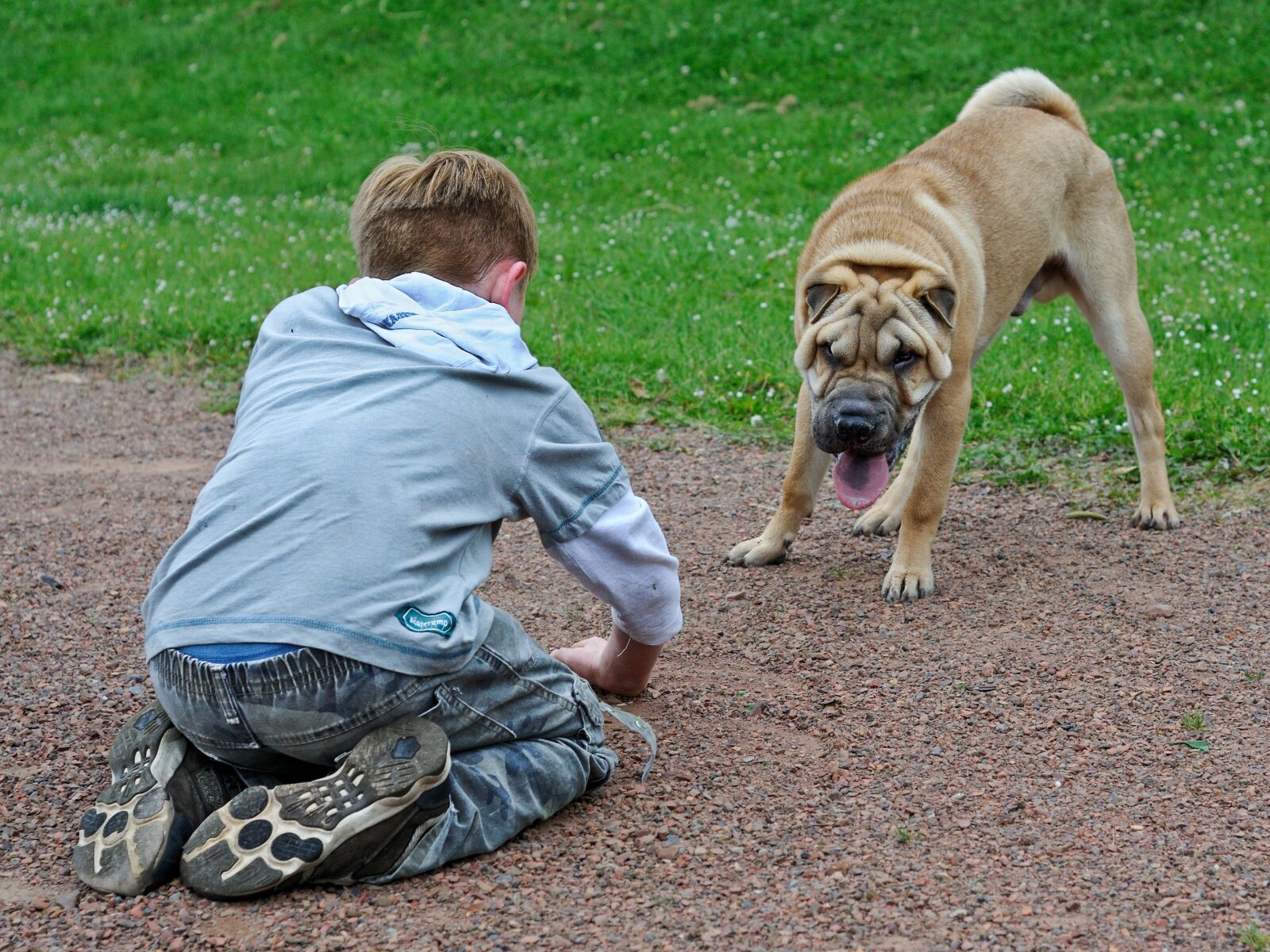 Nikon D300 sample photo. Child, dog, play photography