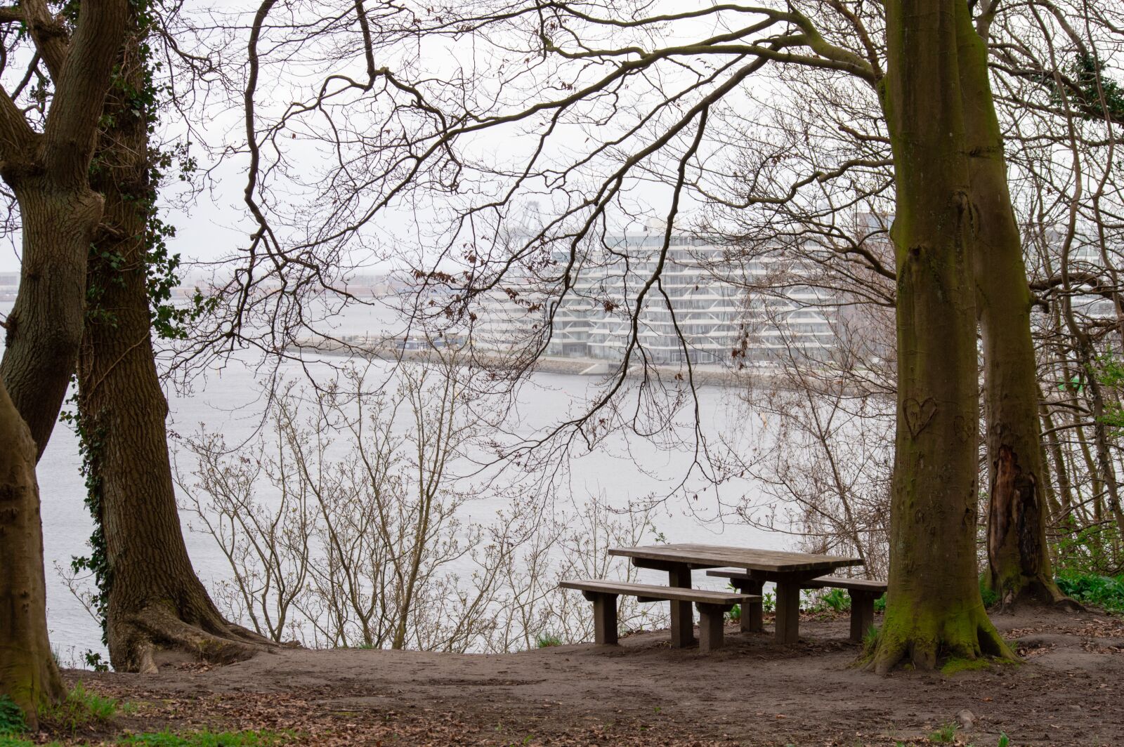 Nikon D3200 sample photo. århus, aarhus, view photography