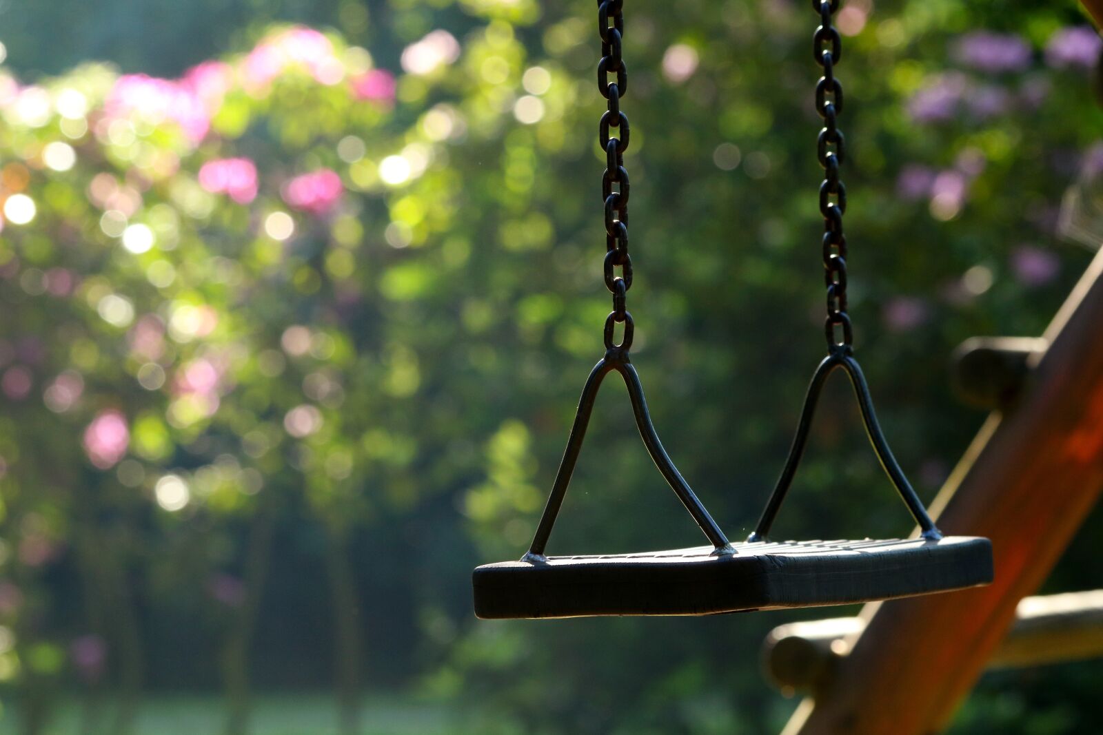 Canon EOS 750D (EOS Rebel T6i / EOS Kiss X8i) sample photo. Swing, park, playground photography
