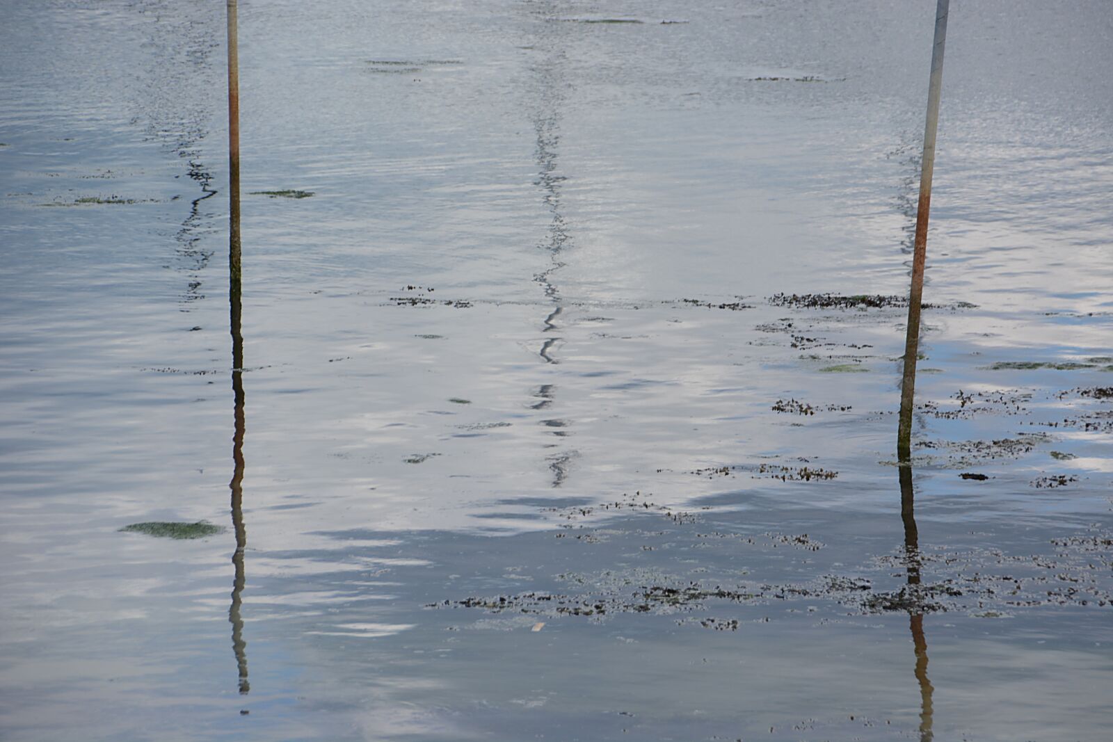 Nikon D5200 sample photo. Reflections, water, nature photography