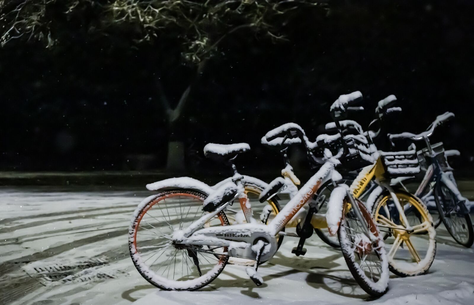 Canon EOS 6D Mark II + Canon EF 24-70mm F4L IS USM sample photo. Bicycle, snow, winter photography