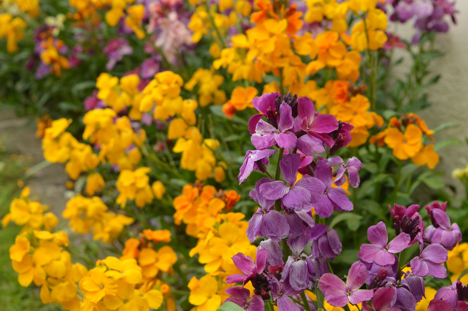 Nikon D3200 sample photo