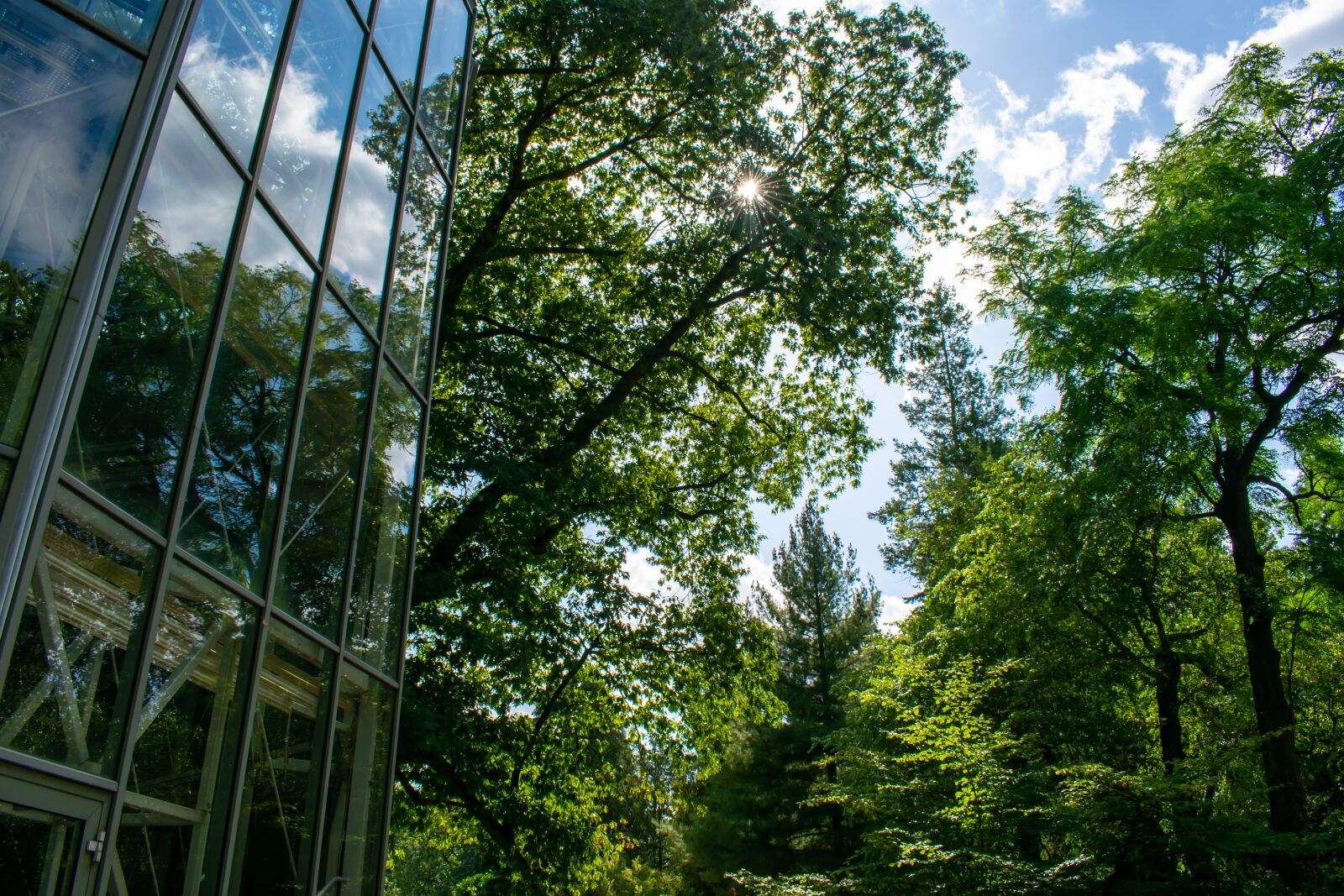 Nikon D5300 sample photo. Nature, modern, contrast photography