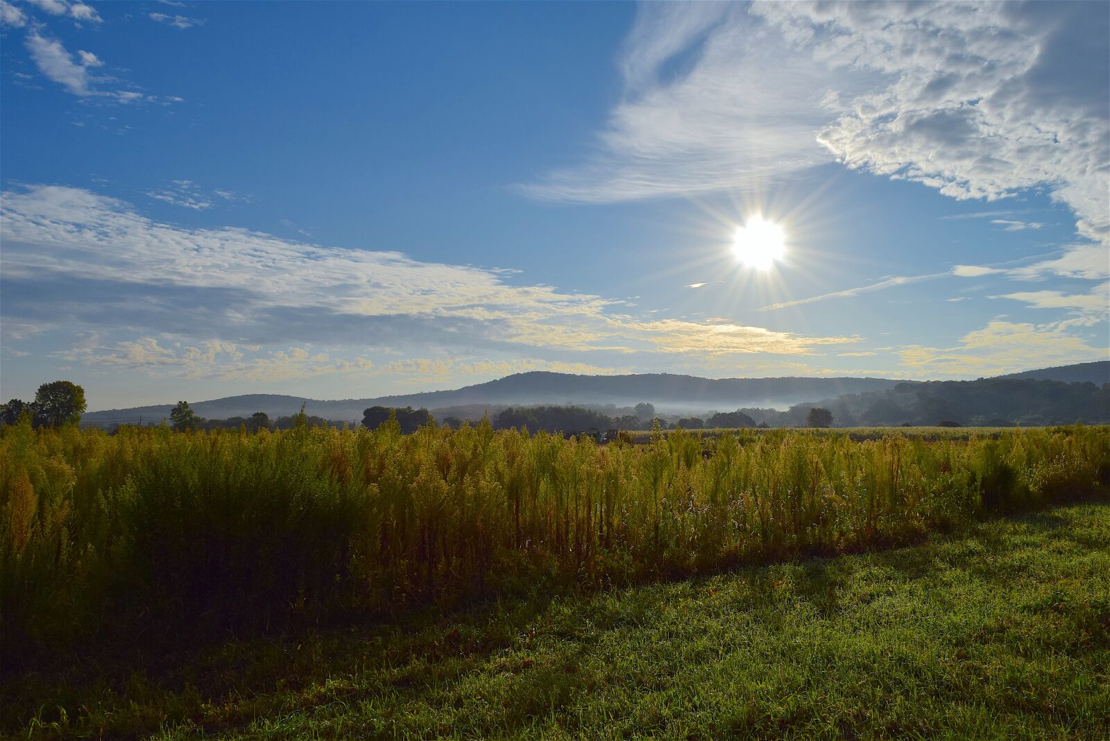Nikon D3300 sample photo. Sunrise, field, sky photography