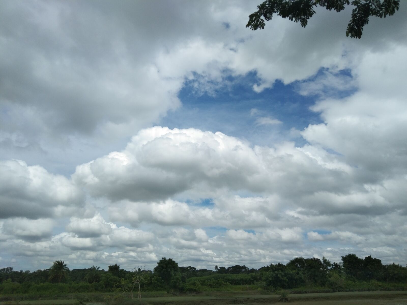 vivo 1906 sample photo