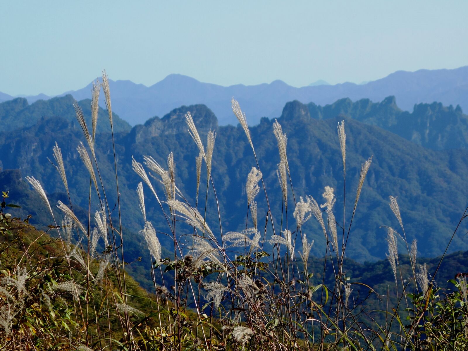 Sony Cyber-shot DSC-RX100 sample photo. The old usui pass photography