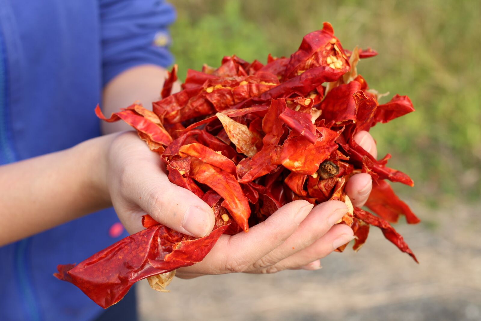 Canon EOS 100D (EOS Rebel SL1 / EOS Kiss X7) + Canon EF 40mm F2.8 STM sample photo. Hunan, red pepper, red photography