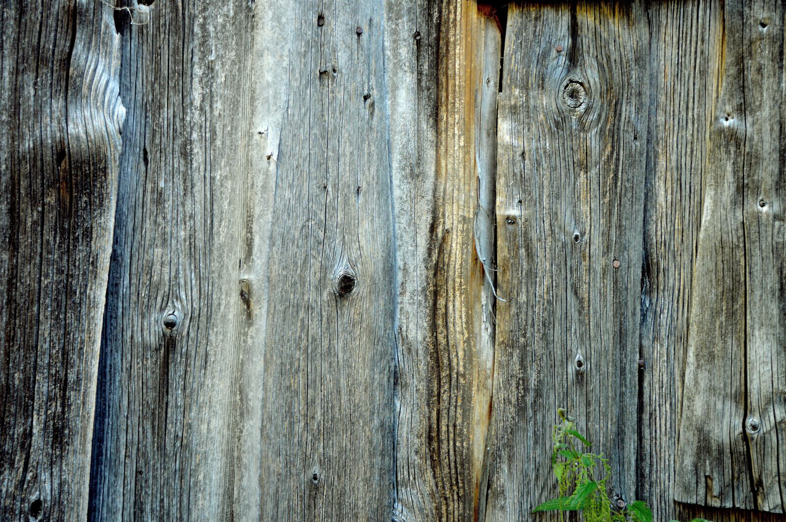 Nikon D3200 sample photo. Boards, structure, knots photography