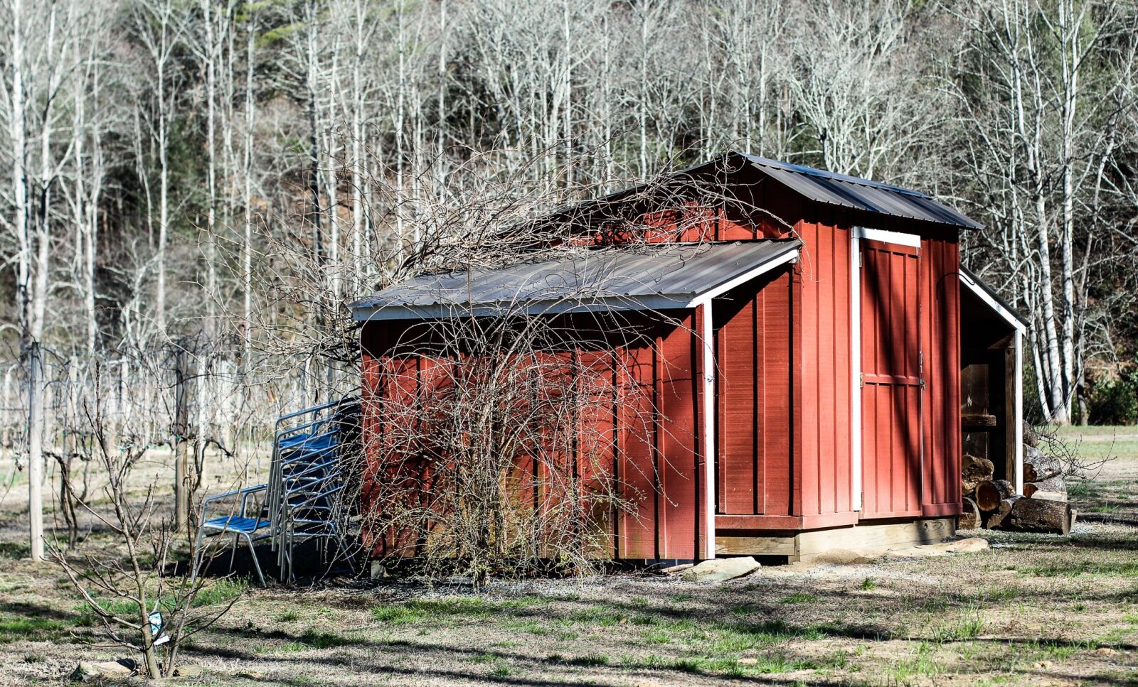 Canon EOS 60D + Canon EF 50mm F1.4 USM sample photo. Barn, red, outdoor photography