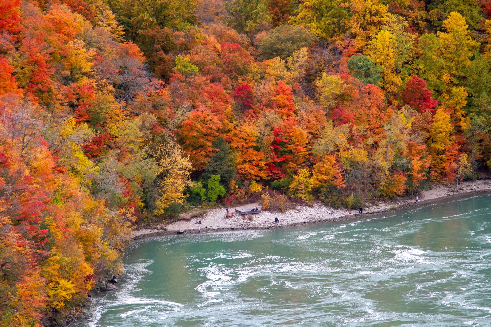 Canon EOS 7D sample photo. Fall, leaves, canada photography