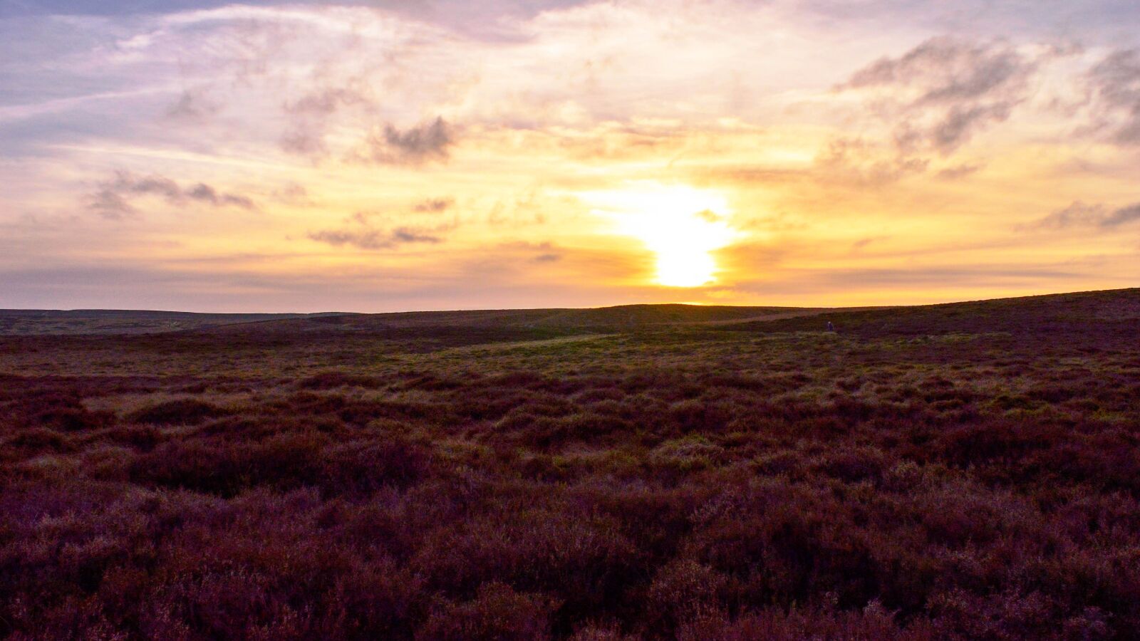 Nikon D3200 sample photo. Sunset, moor, nature photography