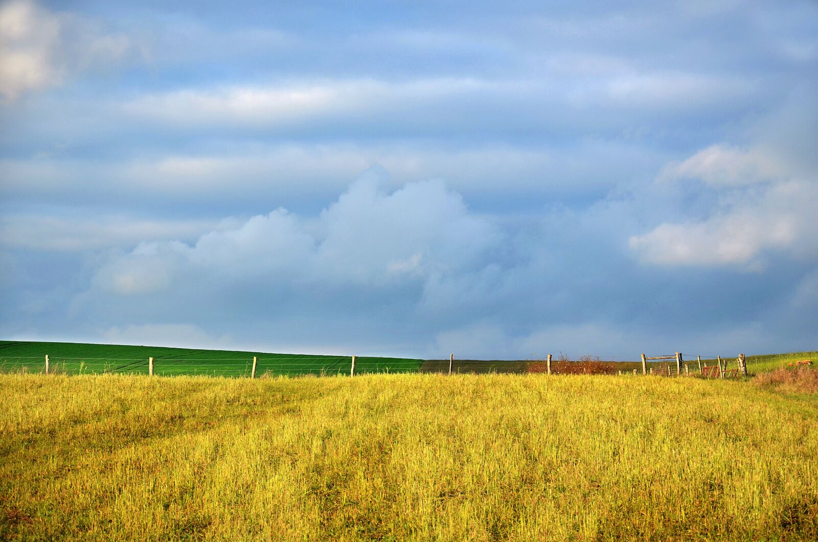Nikon D5100 sample photo. Countryside, pasture, agriculture photography