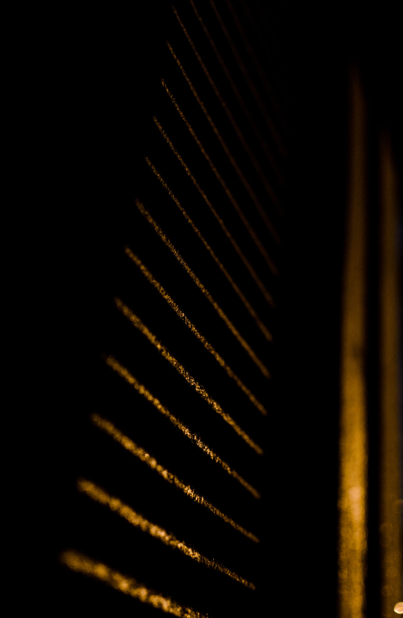 Nikon D5100 + Nikon AF-S DX Nikkor 35mm F1.8G sample photo. Light, lines, night, shadows photography