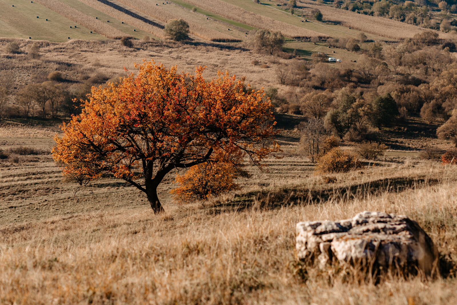 Canon EOS 6D sample photo