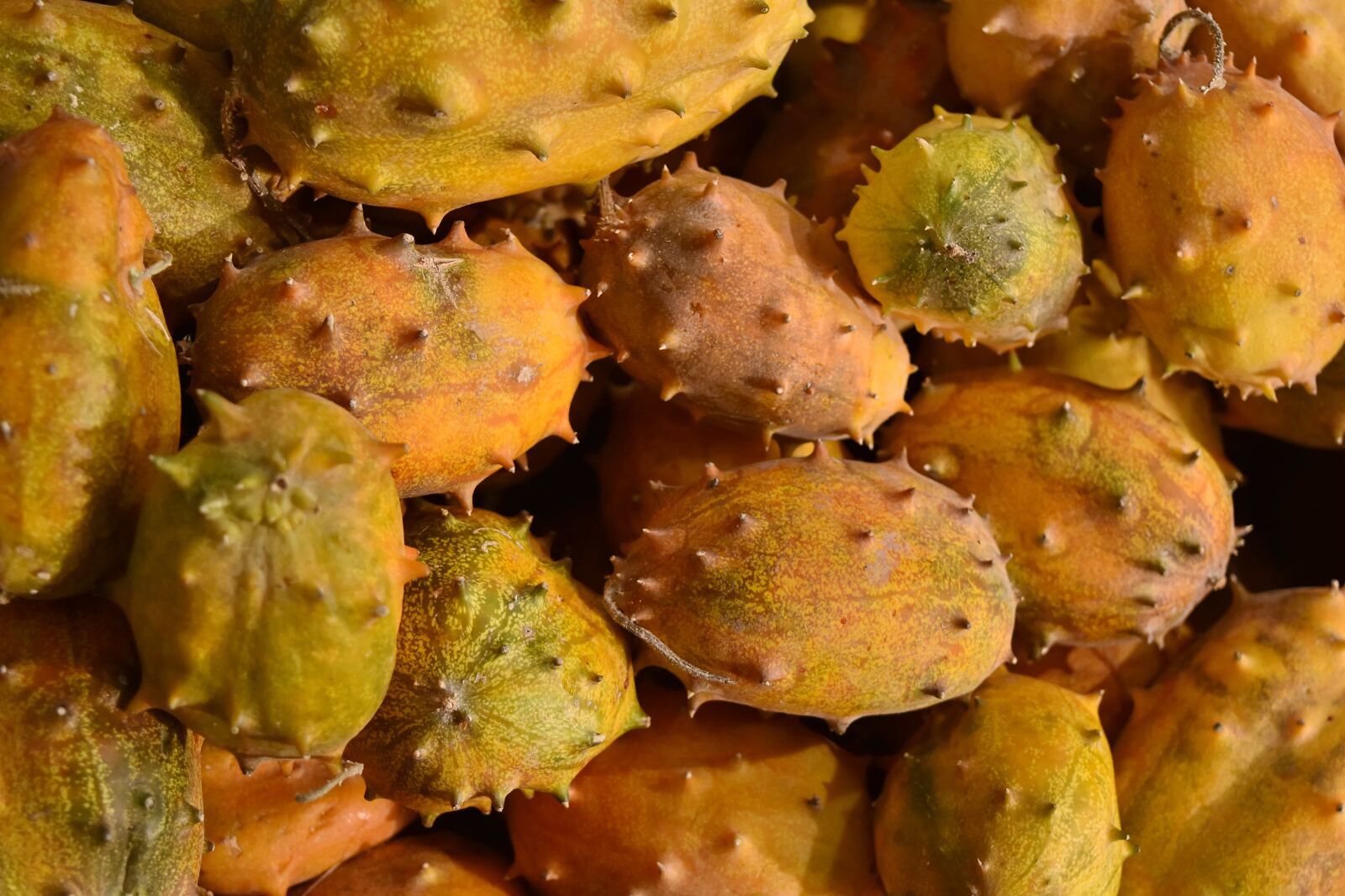 Nikon D5500 sample photo. Prickly pear, produce, food photography
