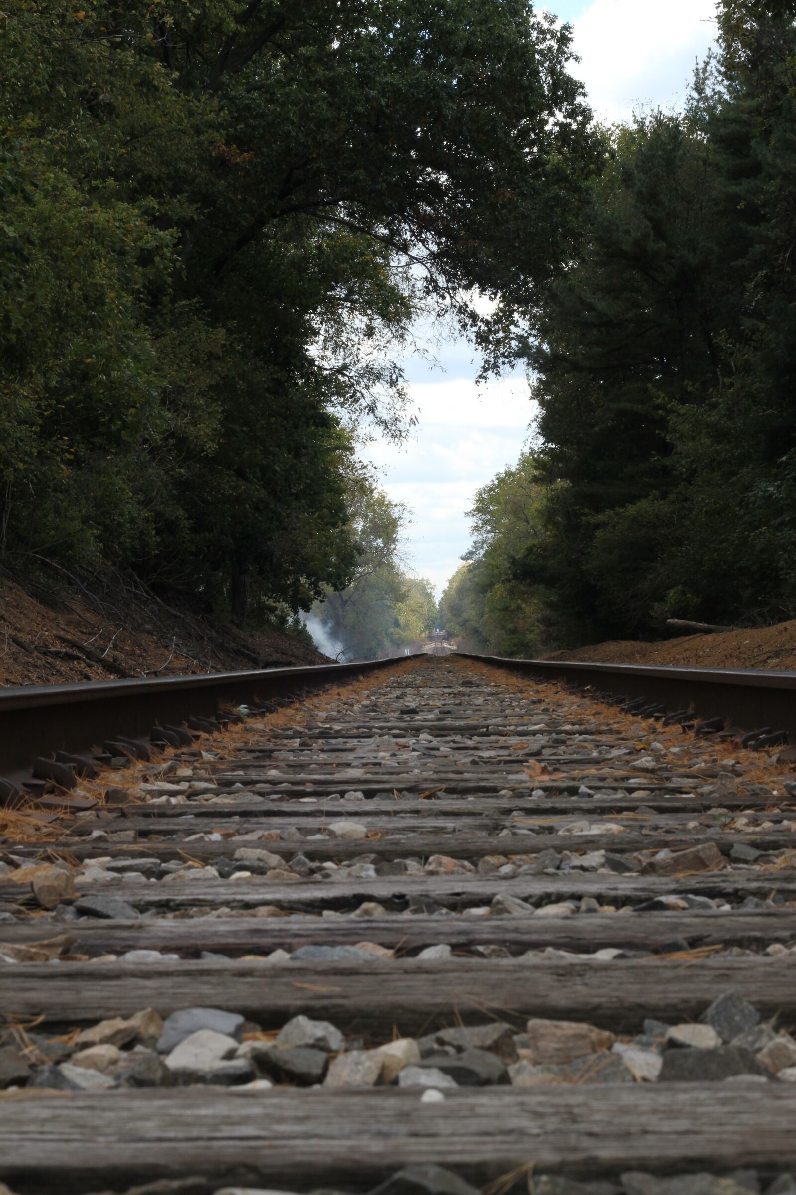 Canon EOS 550D (EOS Rebel T2i / EOS Kiss X4) sample photo. Railroad, scenic, background photography