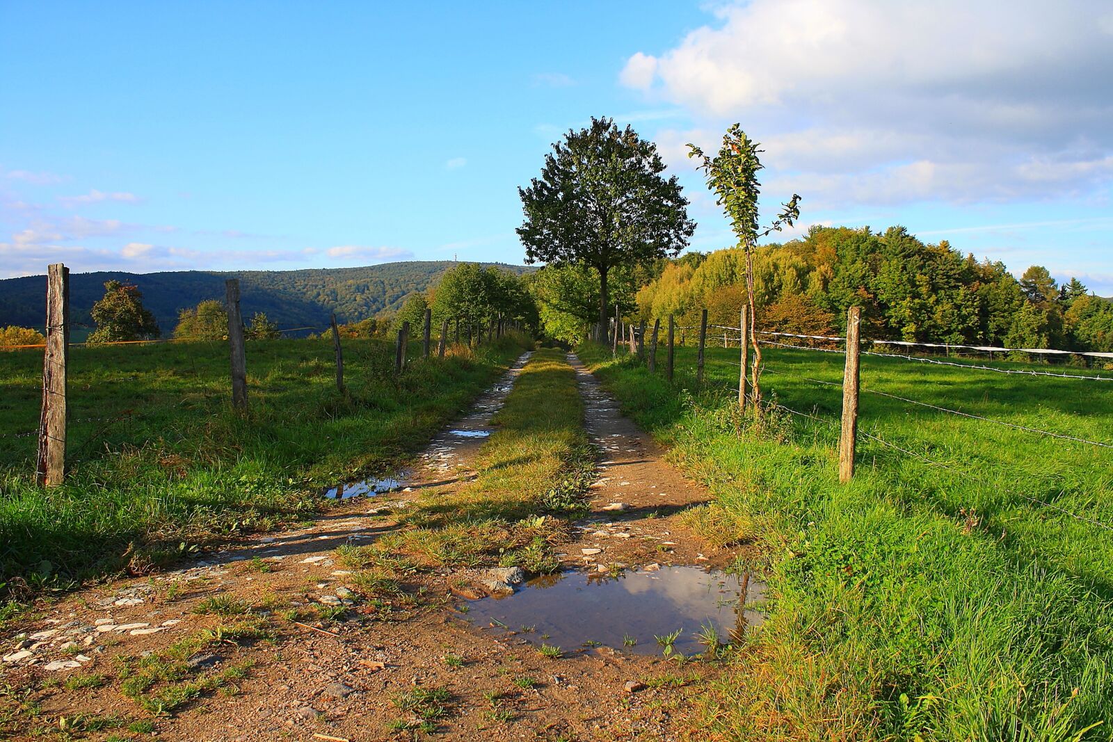 Canon EOS 1000D (EOS Digital Rebel XS / EOS Kiss F) sample photo. Nature, landscape, away photography