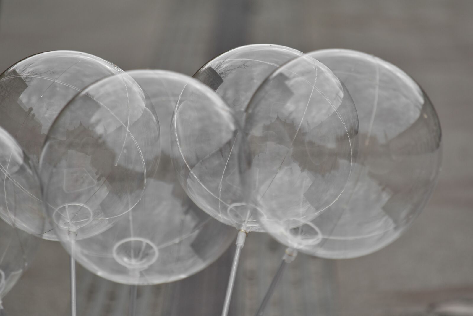 Nikon D5500 sample photo. Ball-shaped, balloon, black and photography