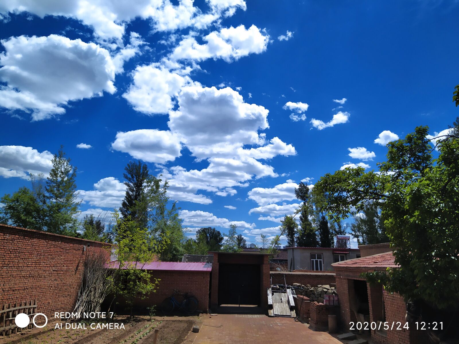 Xiaomi Redmi Note 7 sample photo. Sky, trees, in rural photography