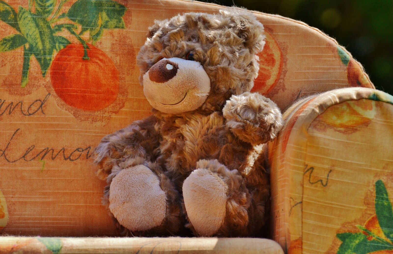 Nikon D3200 sample photo. Teddy, soft toy, stuffed photography