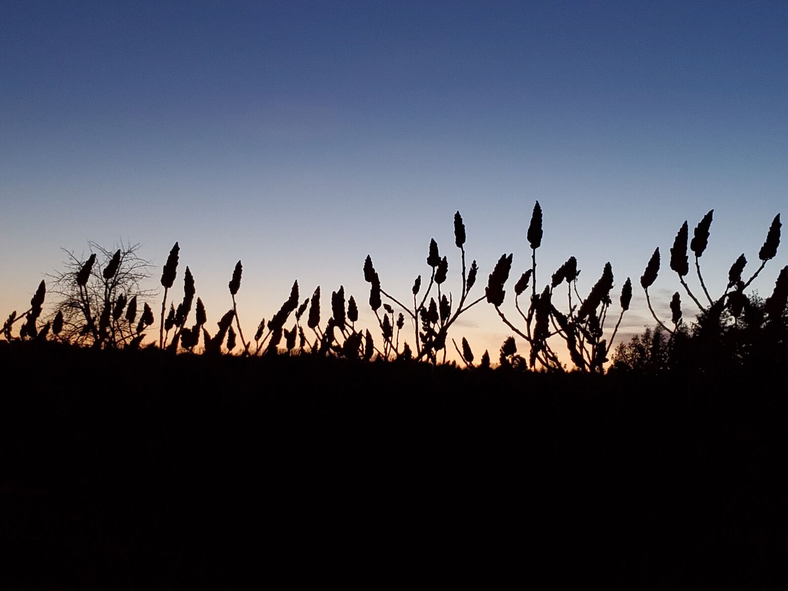 Samsung Galaxy S10 sample photo. Sunset behind, blue sky photography