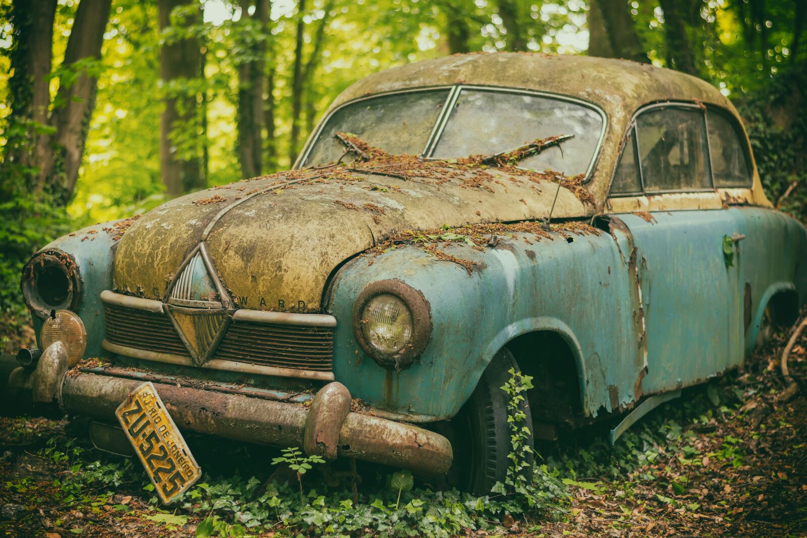 Nikon D3300 sample photo. Auto, pkw, junkyard photography
