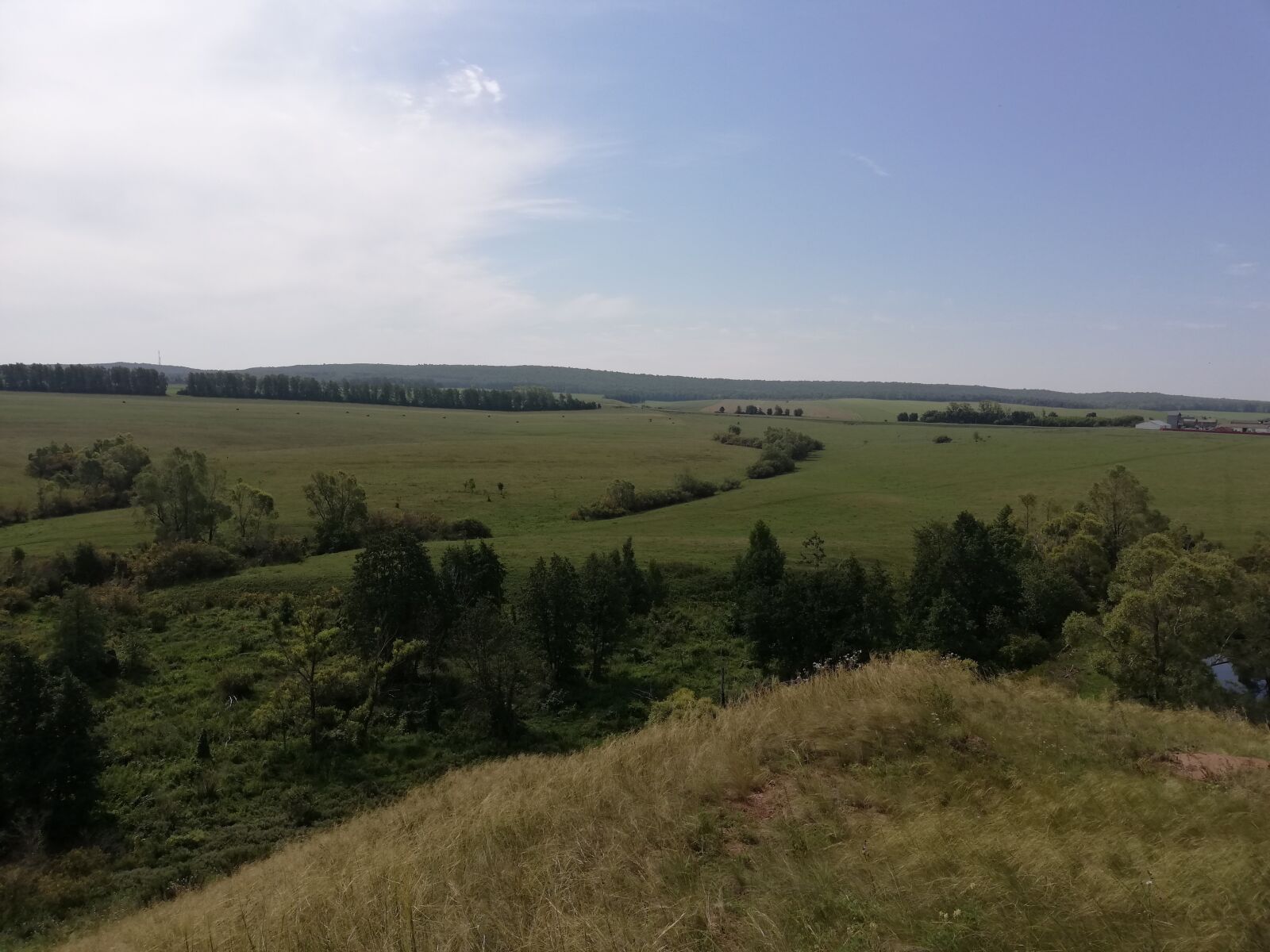 HUAWEI P20 lite sample photo. Tree, meadow, field photography