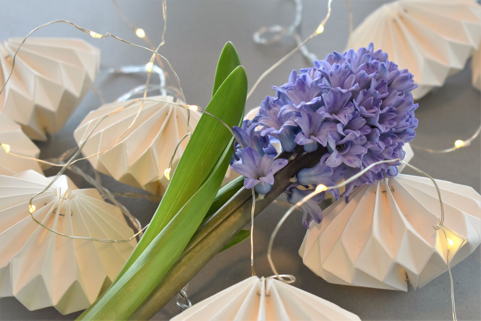 Nikon D5500 sample photo. Decoration, deco, table decorations photography