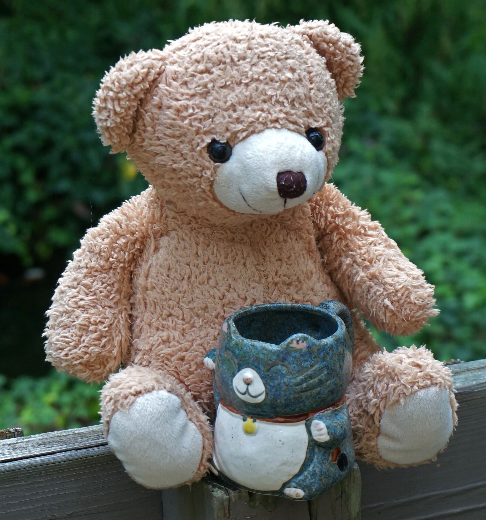 Sony Alpha NEX-5T sample photo. Old teddy bear with photography