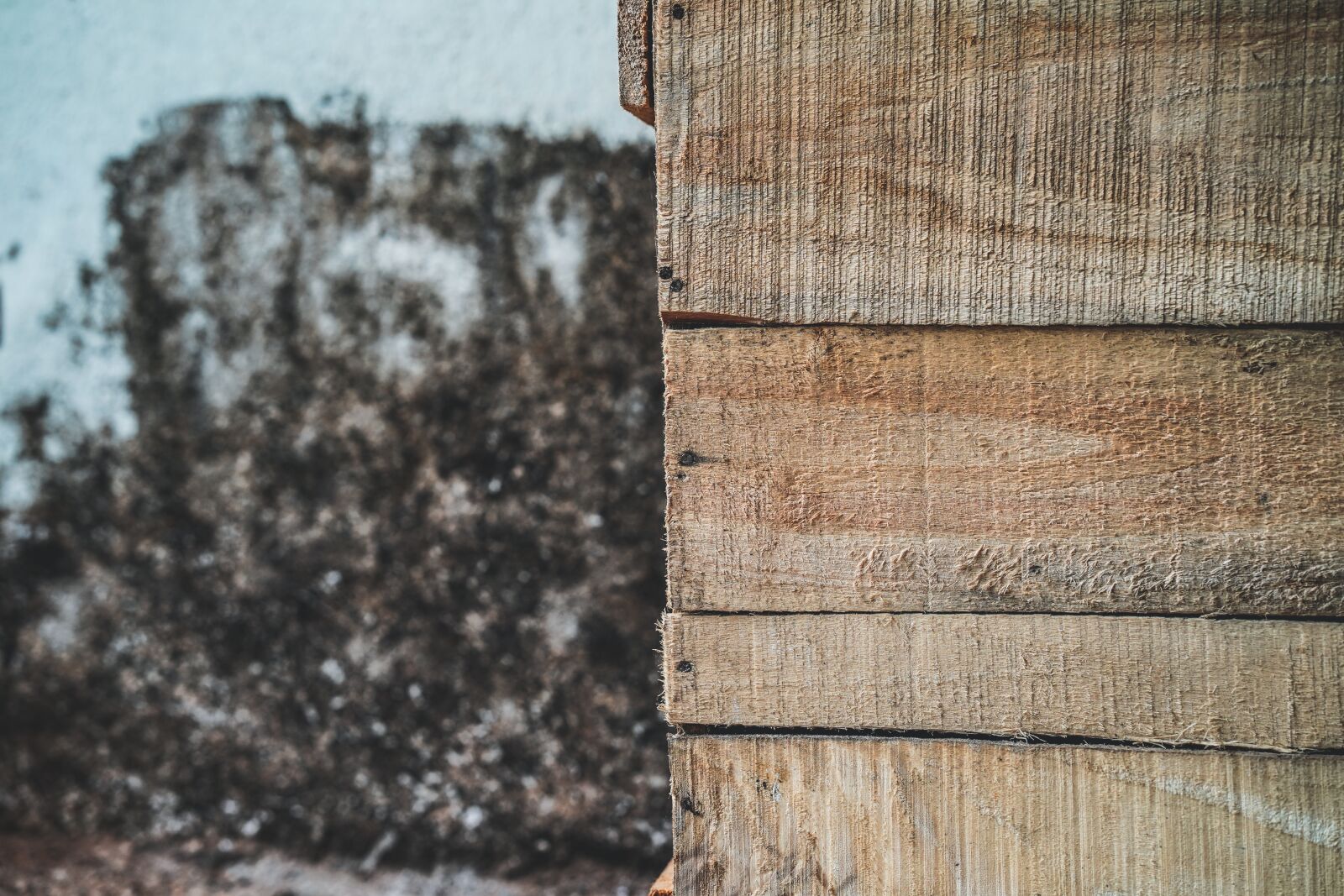 Sony a7 III + ZEISS Batis 85mm F1.8 sample photo. Textured, textured effect, backgrounds photography