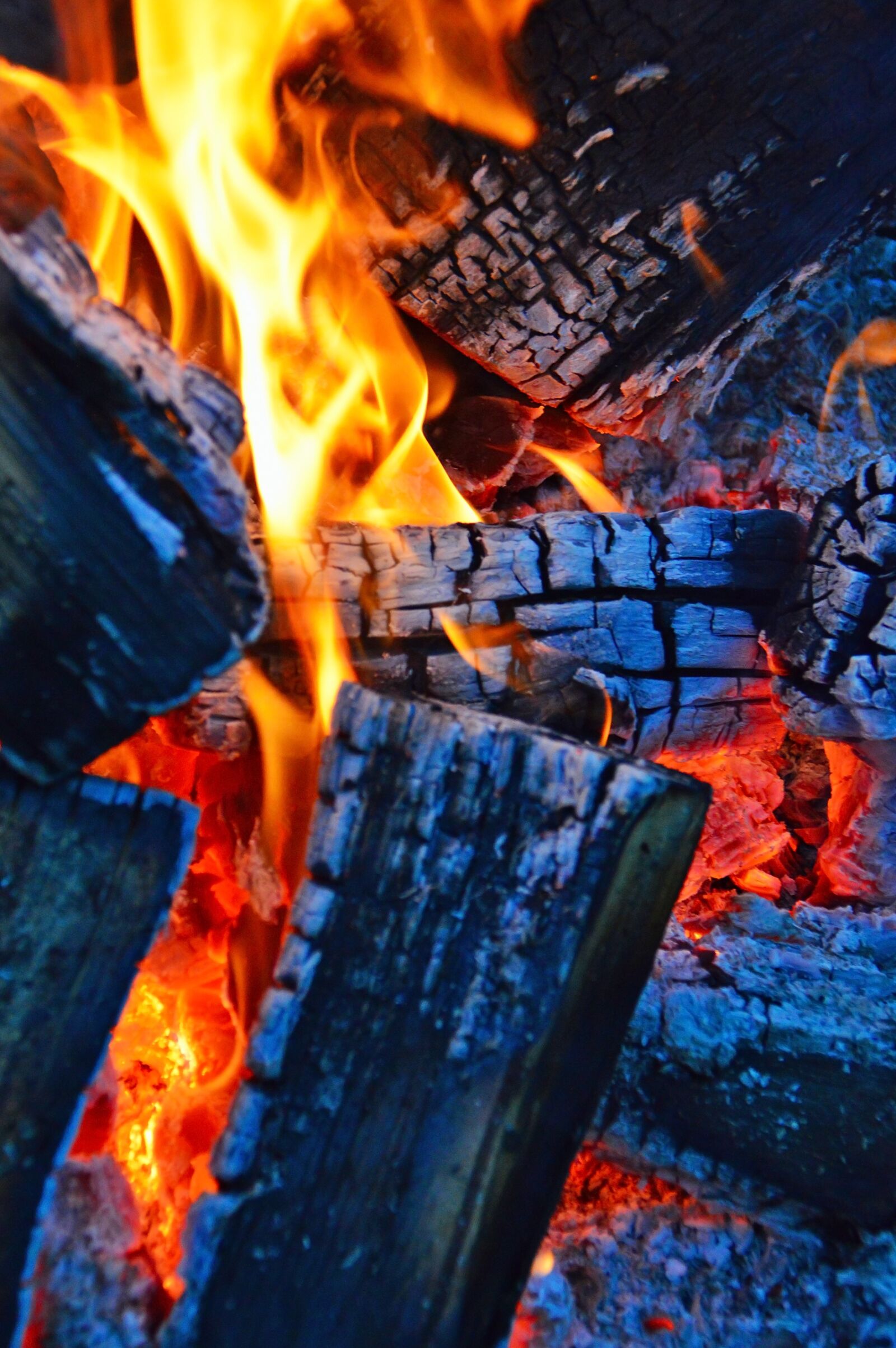 Nikon D3200 sample photo. Fire, campfire, flames photography