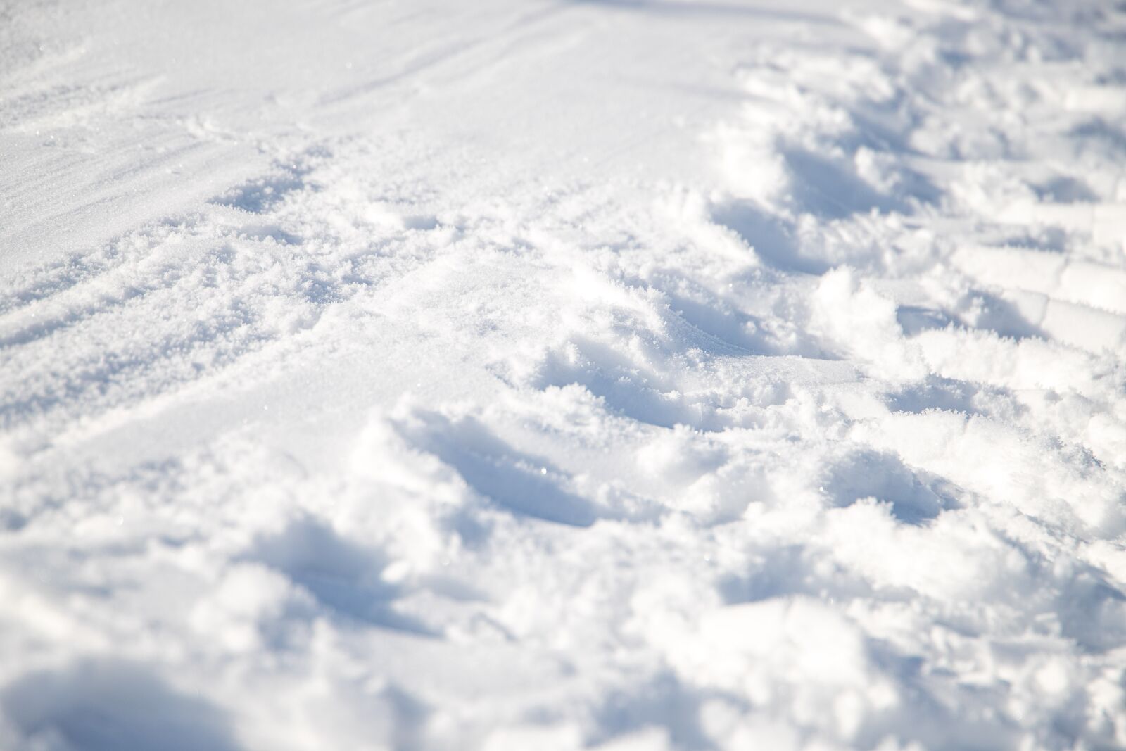 Canon EOS 6D Mark II + Canon EF 24-105mm F3.5-5.6 IS STM sample photo. Tractor track, snow, winter photography
