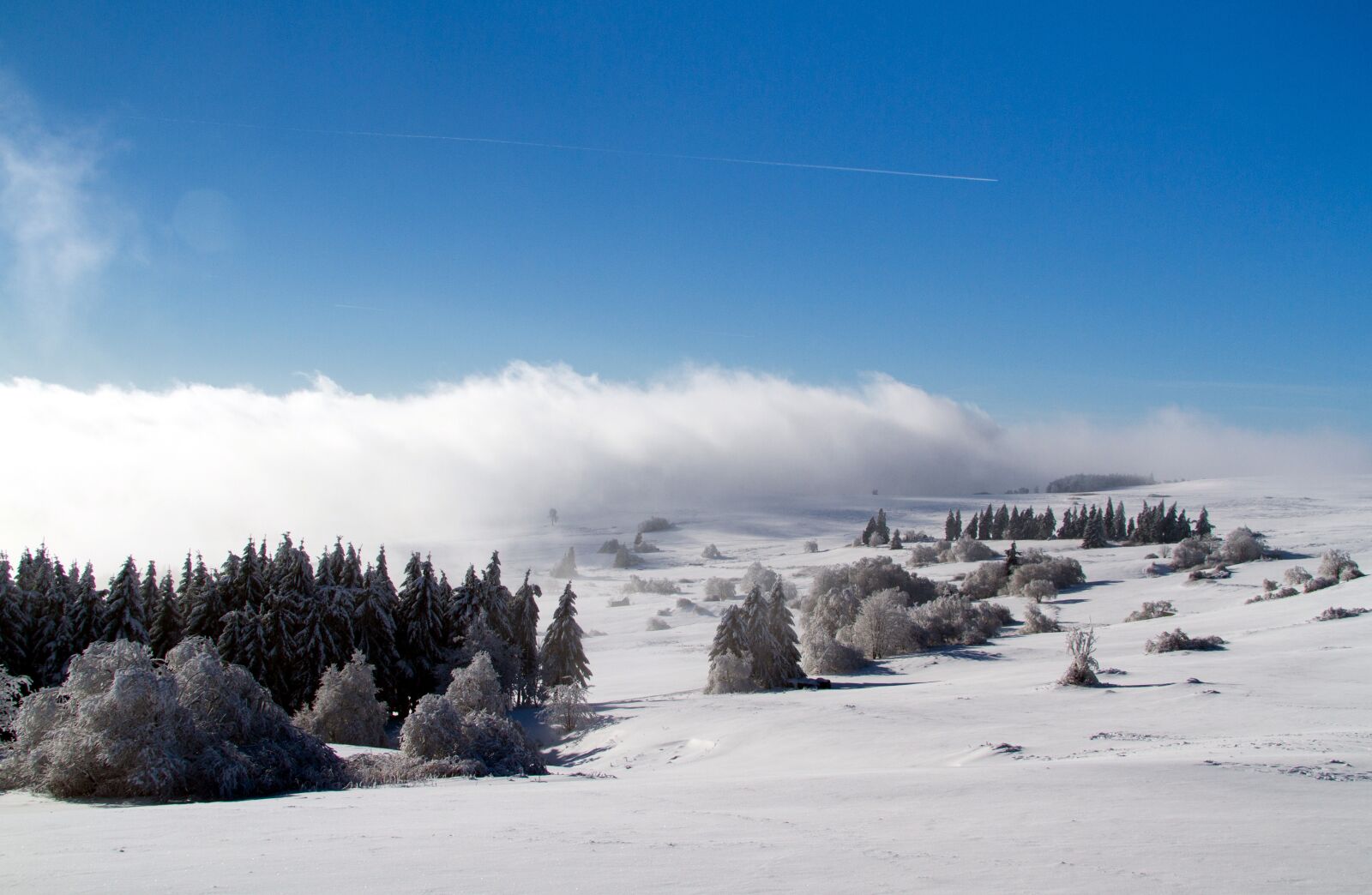 Canon EOS 7D sample photo. Winter, snow, wintry photography