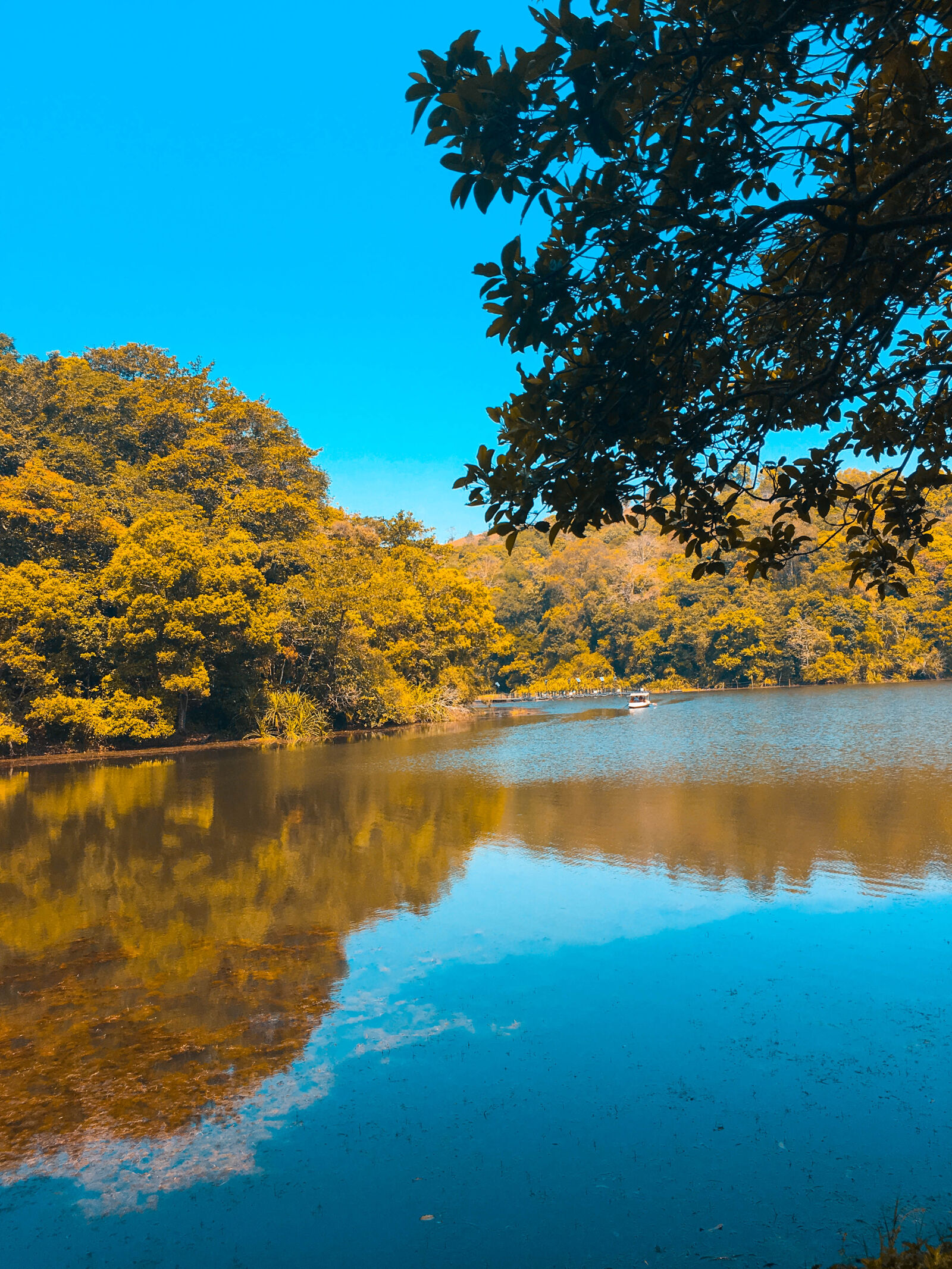 Apple iPhone 6s sample photo. Black, forest, blue, water photography