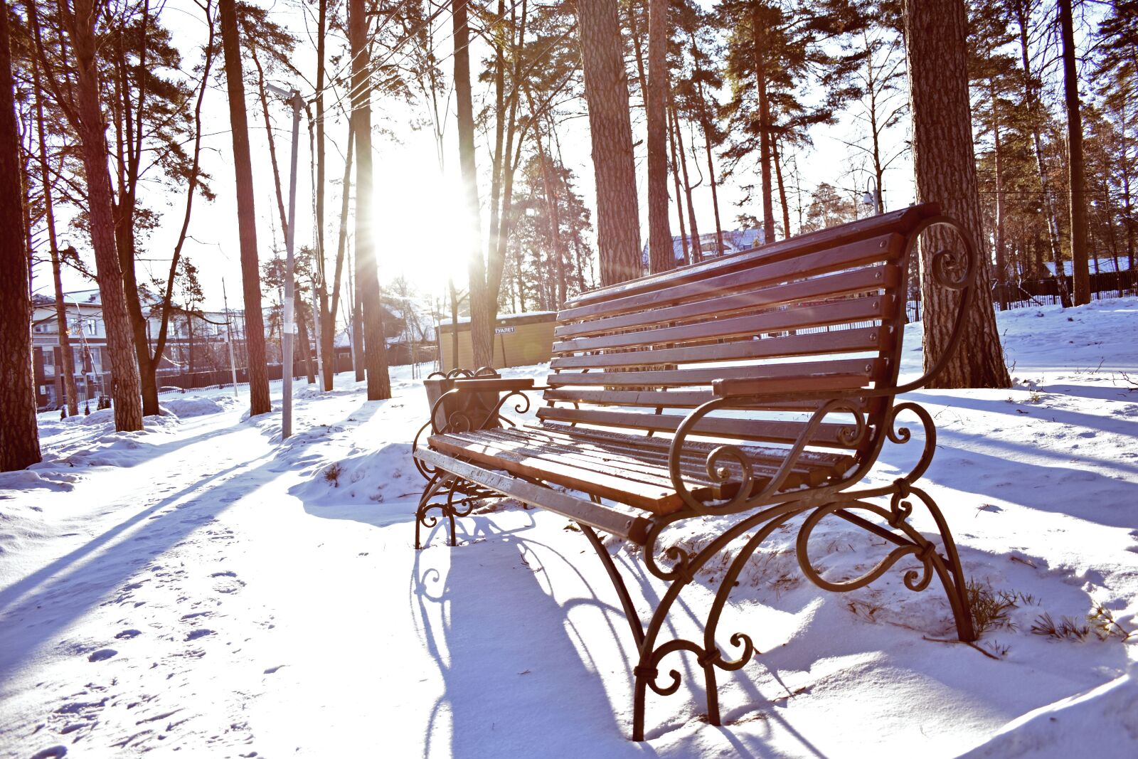 Nikon D3400 sample photo. Bench, morning, winter photography