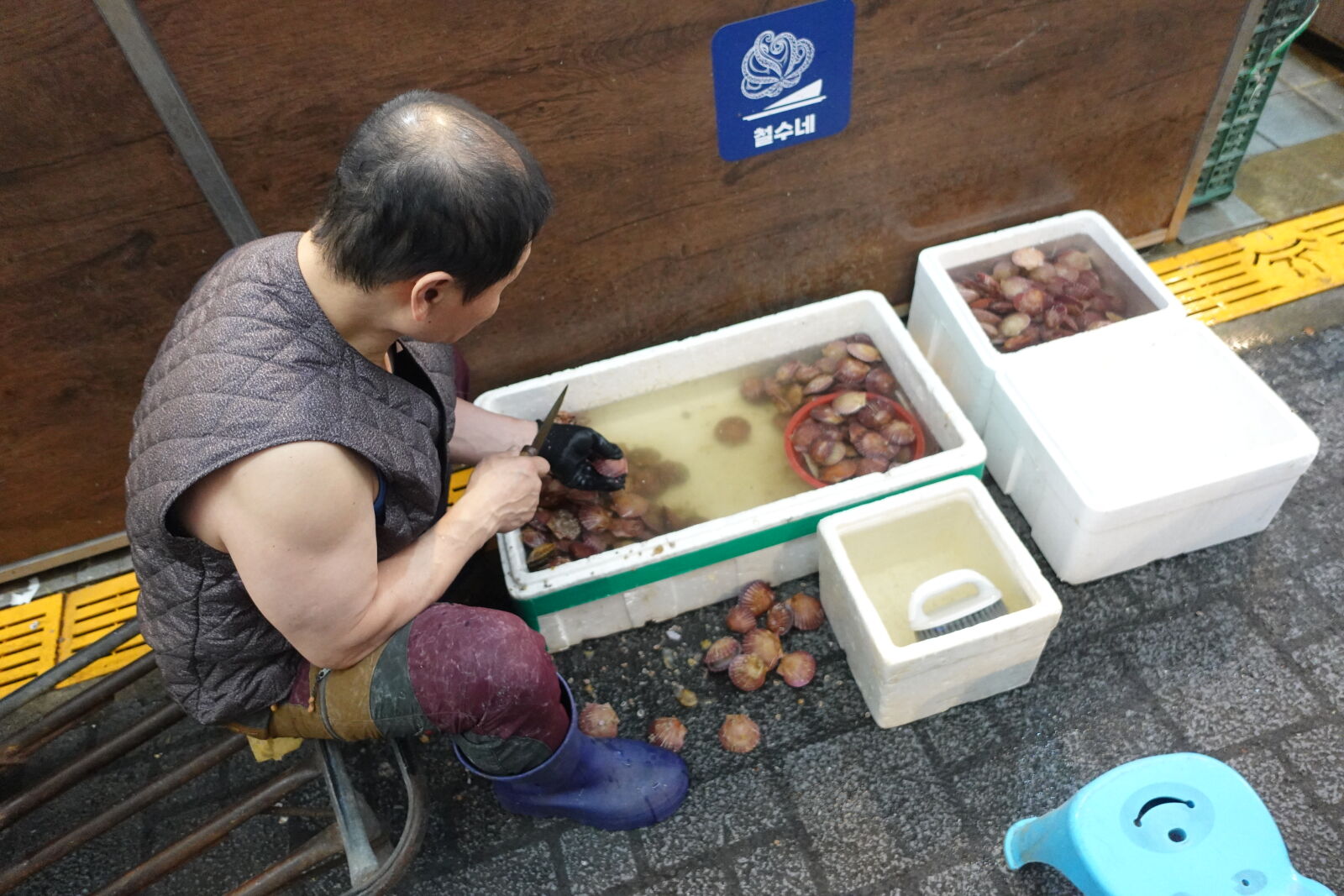 Sony ZV-1 sample photo