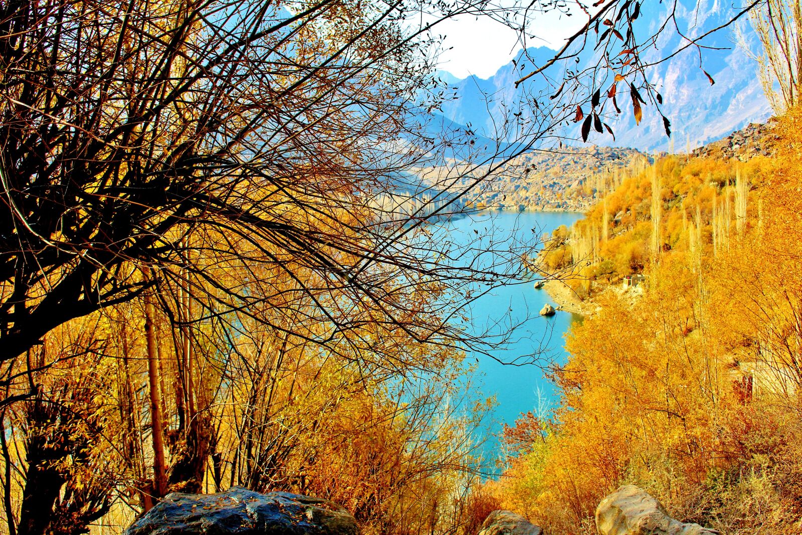 Canon EOS 700D (EOS Rebel T5i / EOS Kiss X7i) sample photo. Tree, lake, pakistan photography