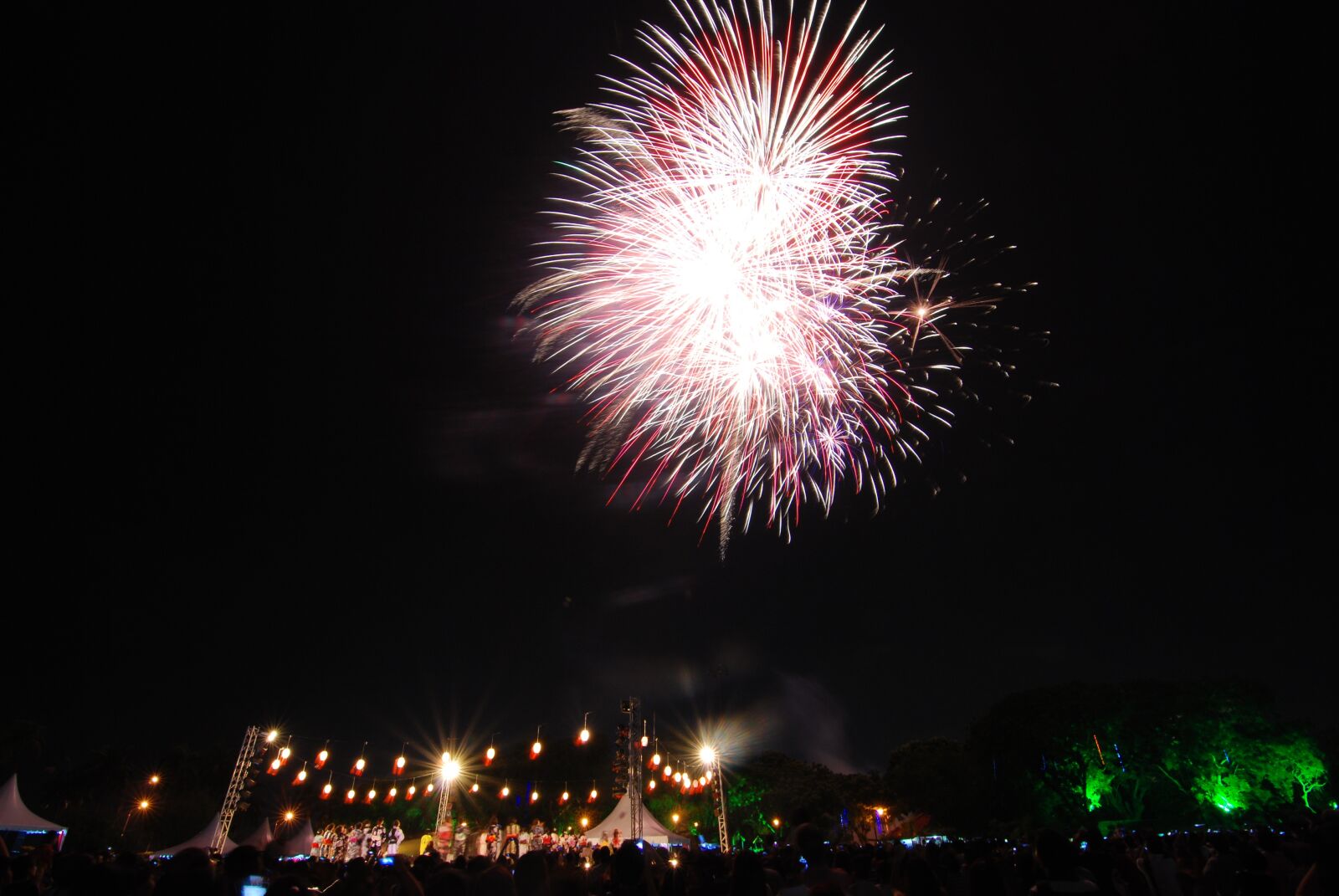 Nikon D80 sample photo. Fireworks, festival, japan photography