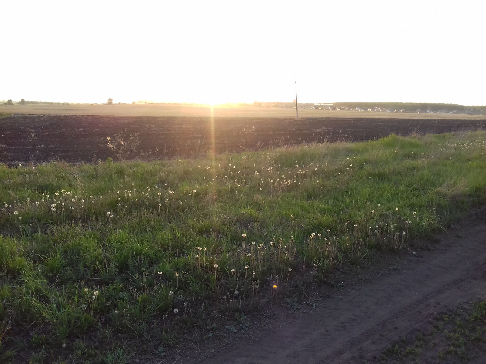 Samsung Galaxy Grand Prime sample photo. Field, spring, may photography