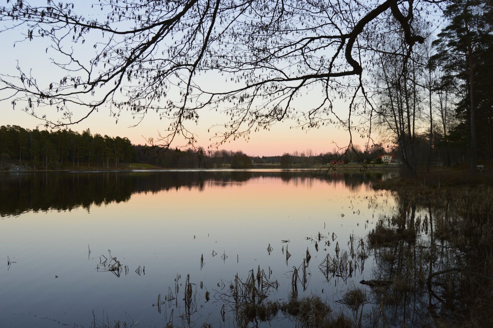 Nikon D3200 sample photo. Evening, forest, lake, landscape photography