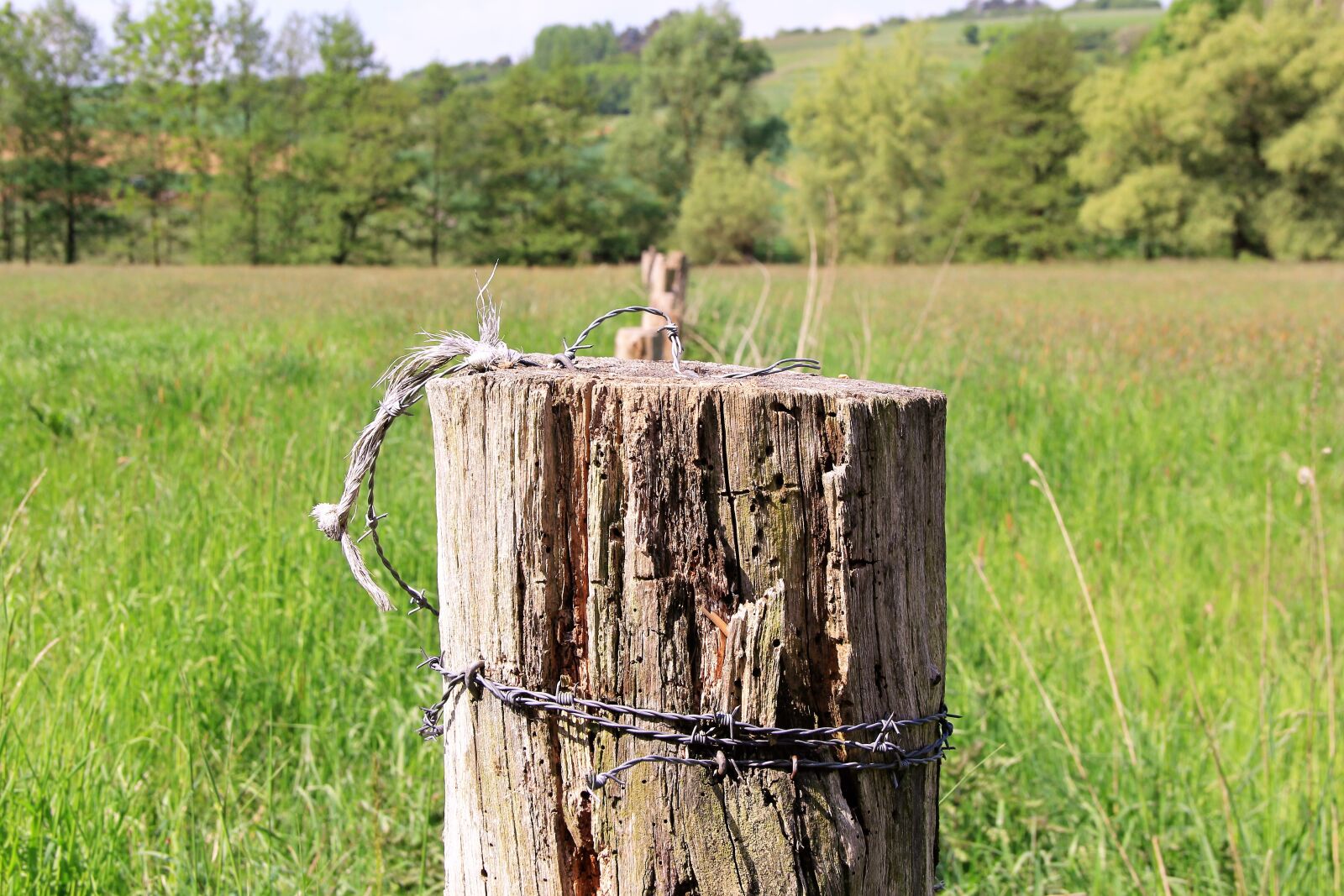 Canon EF-S 18-135mm F3.5-5.6 IS sample photo. Pile, fence, fence post photography