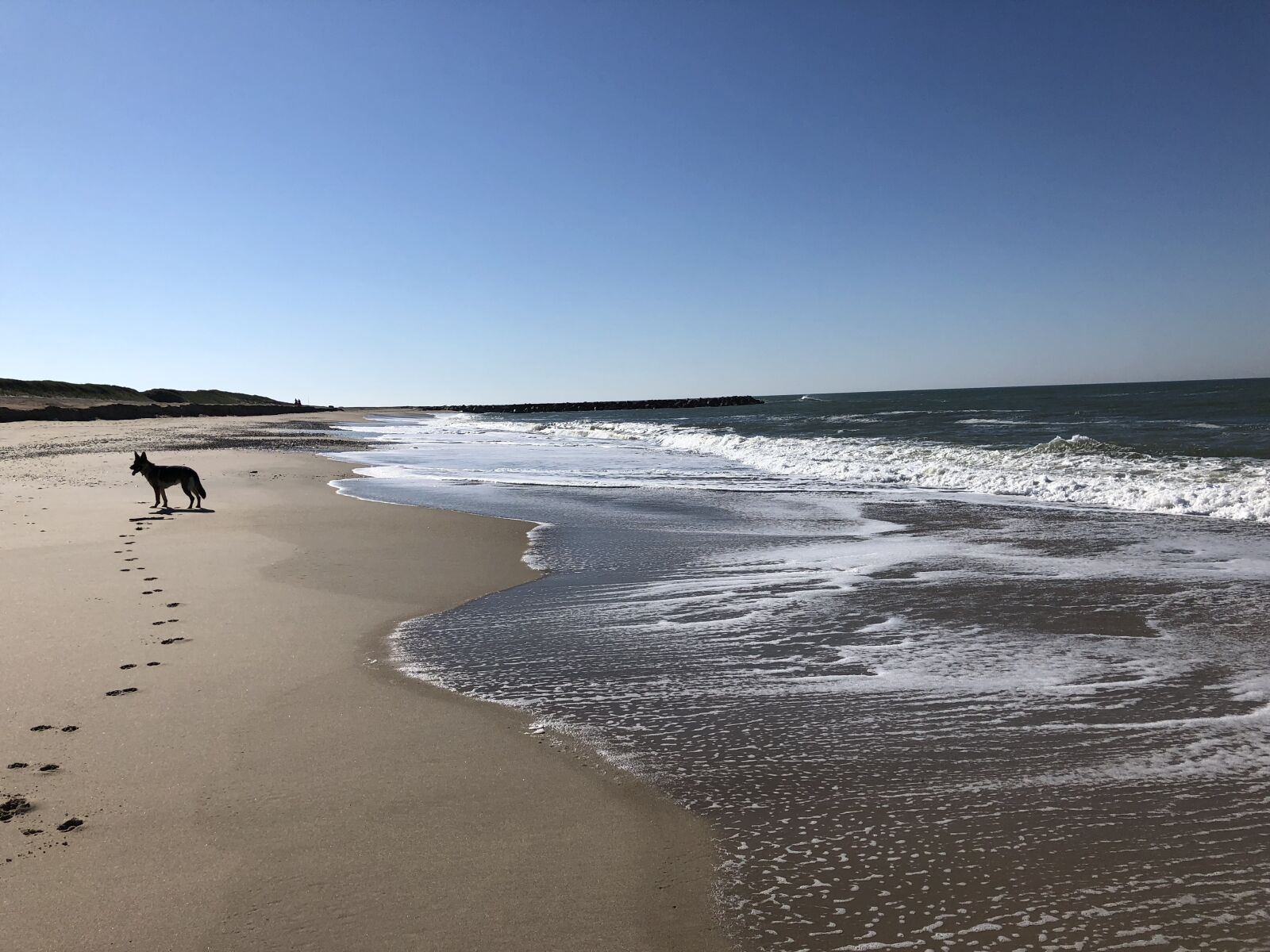 iPhone 8 back camera 3.99mm f/1.8 sample photo. Denmark, north sea, sea photography