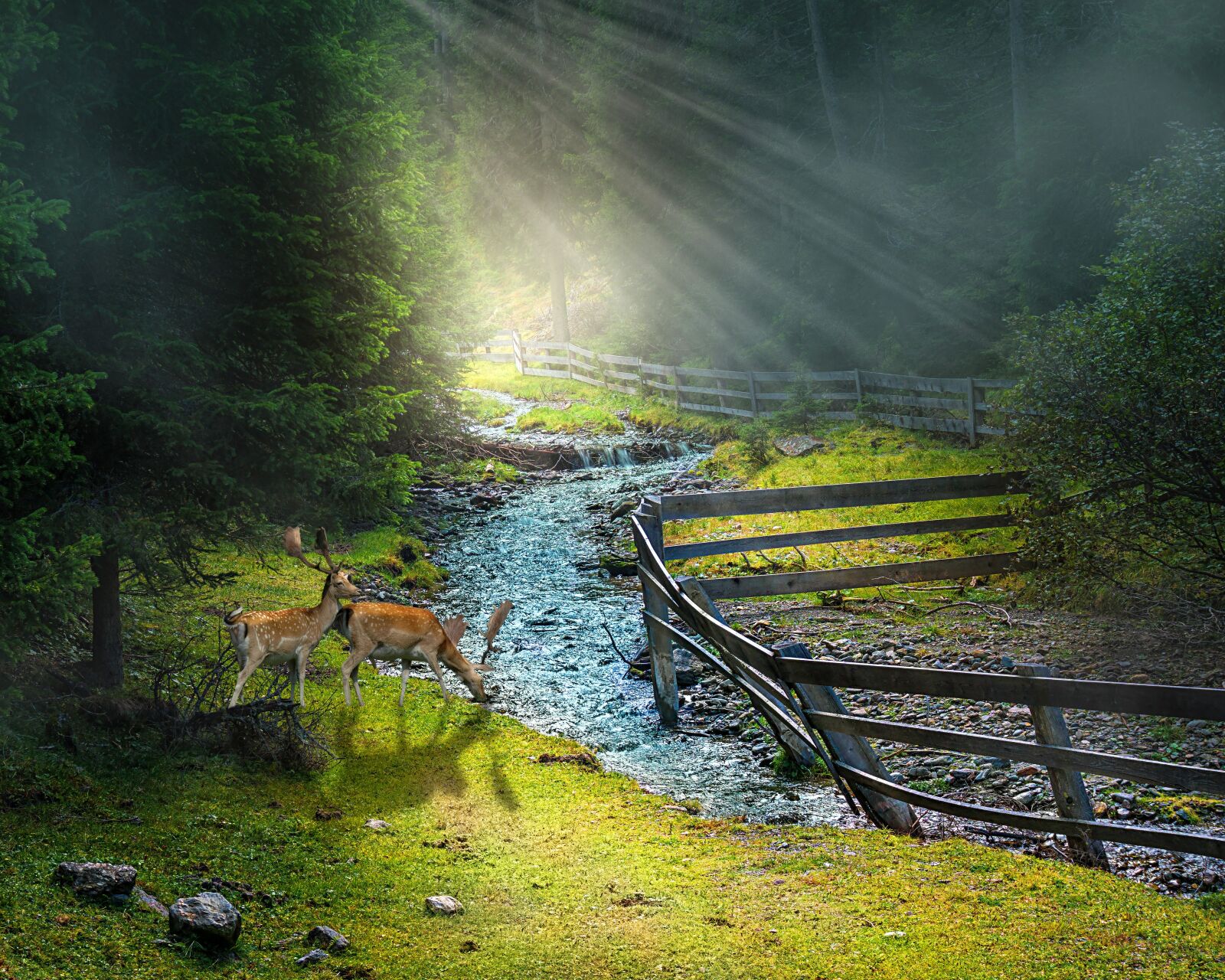 Sony E 16-50mm F3.5-5.6 PZ OSS sample photo. Nature, landscape, water photography